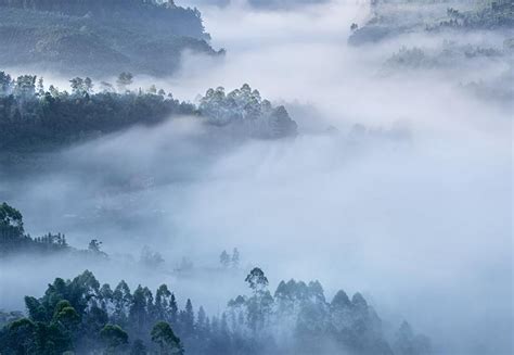 foggy意思